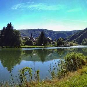 3/3 #ardennes #panorama #nature